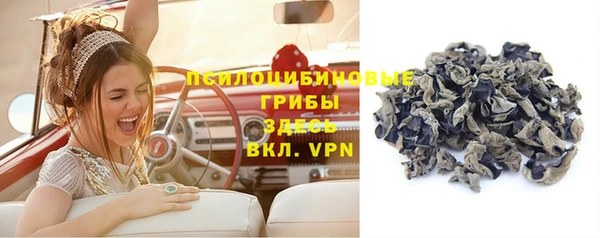 СК Иннополис