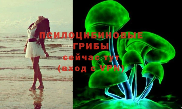 гидропоника Каменск-Шахтинский