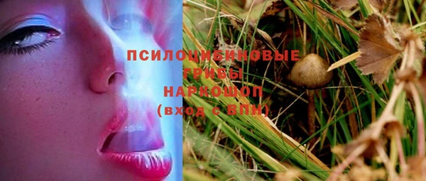 не бодяженный Каменногорск