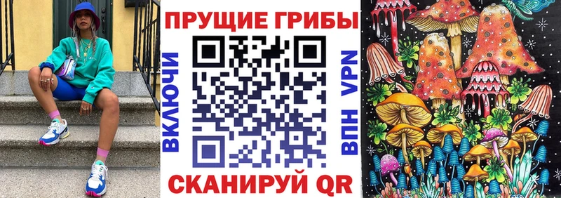 Псилоцибиновые грибы прущие грибы  Купить где  Майский 